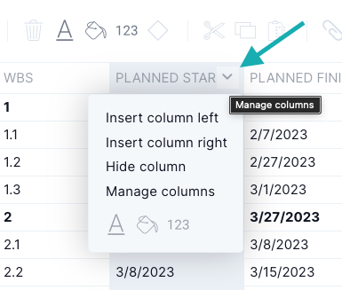 Format the Gantt and sheet