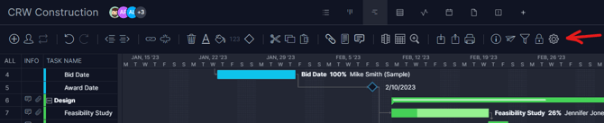 Gantt ribbon settings icon