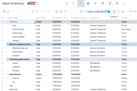Import button on Gantt