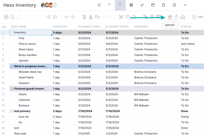 Import button on Gantt
