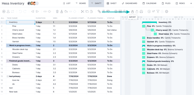 Import icon on Gantt