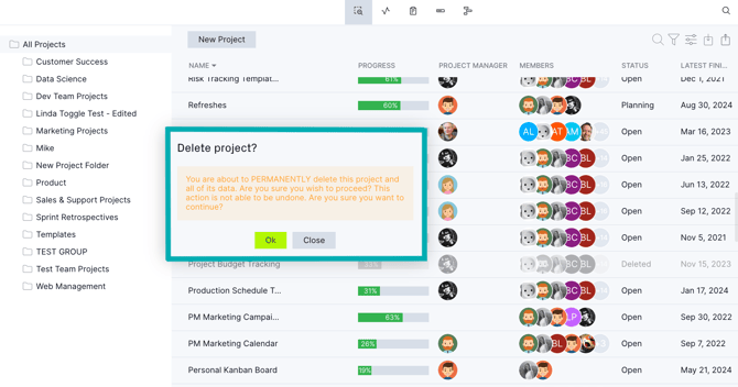 Permanent project deletion