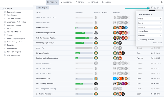 Portfolio projects filter