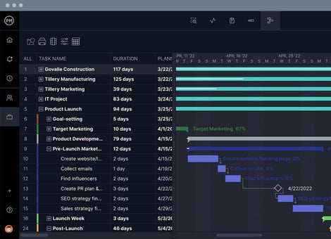 Roadmap_Wide_Zoom-175-program-management-software-1600x1159
