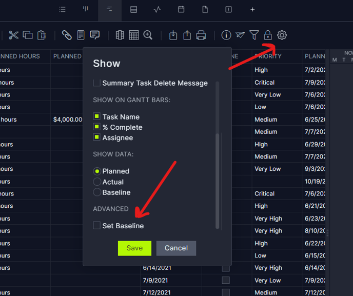 set baseline gantt chart