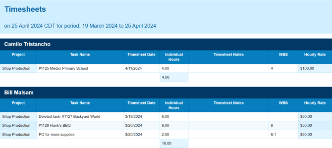 timesheet report projectmanager